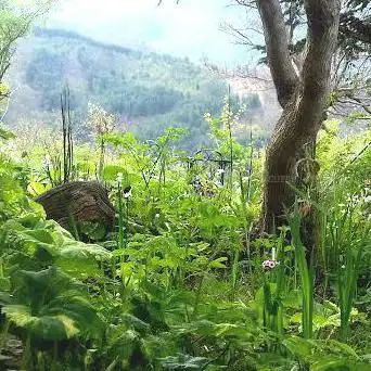 Photo de Le Jardin de Nelly