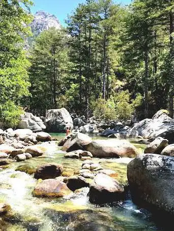 Restonica Valley