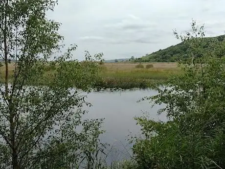 Cors Caron Nature Reserve