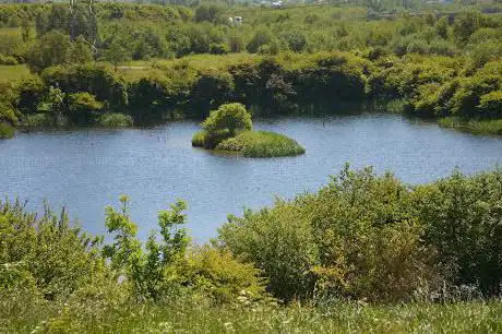 Photo de Cowpen Bewley Wildlife Lake