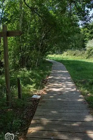 Praia Fluvial das PÃÂas