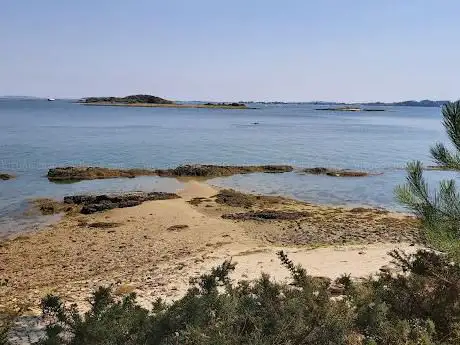 Corticata Turismo Medioambiental - Isla Cortegada
