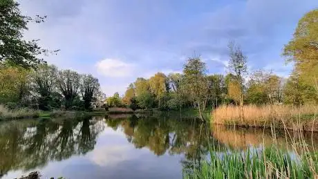 Renbaanvijvers