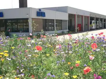 Will Markgräfler Reisen GmbH & Co KG