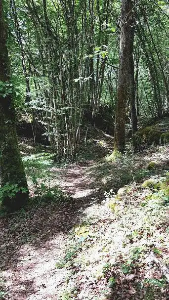 Gorges de la Vingeanne