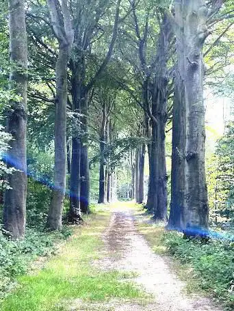 Photo de Gasthuisbossen