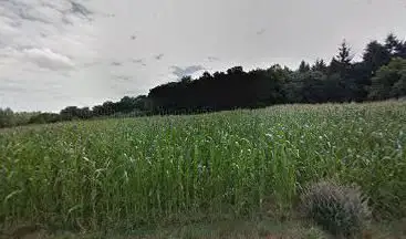 Allée couverte du bois de la Tougeais