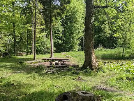 Waldweiher Haselmoos