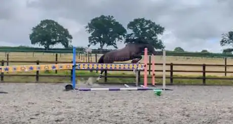 Horsehill Farm Livery Yard