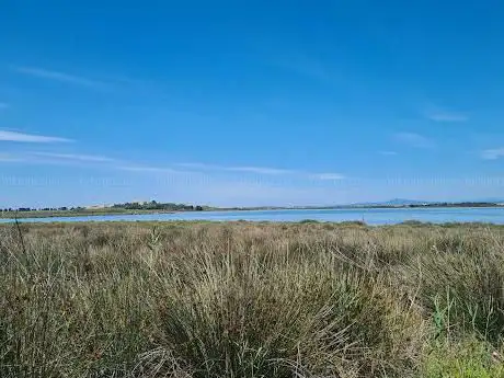 Photo de PLAGE SEMI-NATURISTE MAGUELONE