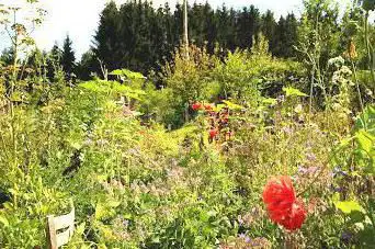 Photo de Le jardin d'Une Figue dans le Poirier