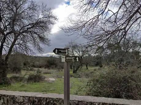 Photo de Dehesa de Navalquejigo