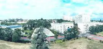 L'olyWoodZoo