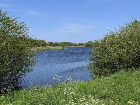 Bowesfield Marsh