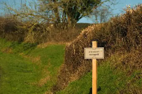 Chemin de la roquette