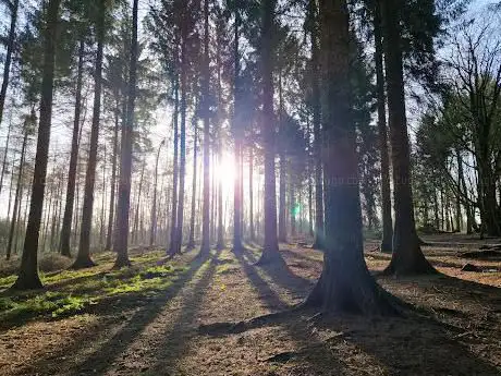 Photo de The Bushcraft Company Castle Howard
