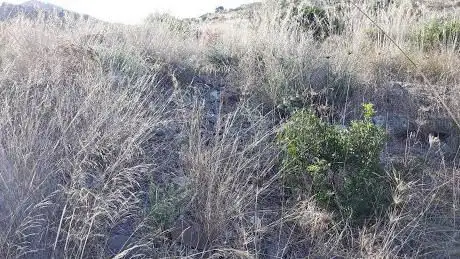 Tombe dei Giganti Baracca su Basoni I