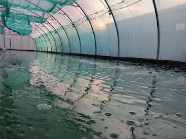 Photo de Etika Spirulina