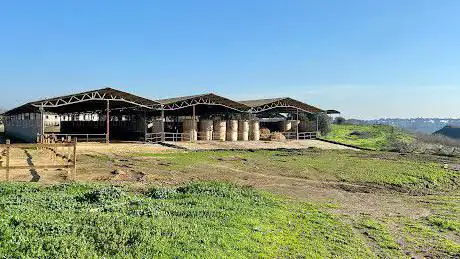 Photo de ASD Circolo Ippico Casal Selce