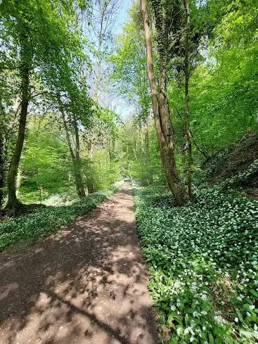 Réserve naturelle domaniale de Lovegne-Bosquet