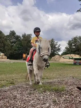 Therapeutisches Reiten am Bodensee | Jolly Jumper