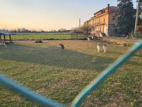 Photo de Parco Pubblico