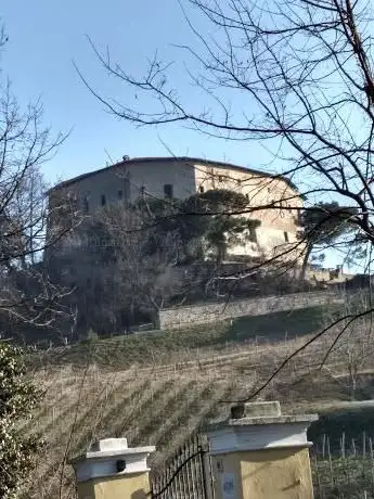 Photo de Rocca di Montalino