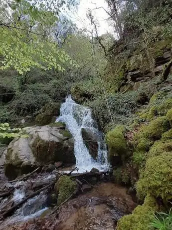 Photo de Cascade du Montimont