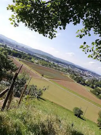 Bench with a view