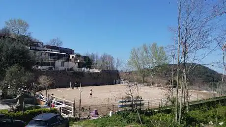 Photo de Aragona Arabians Horses Club