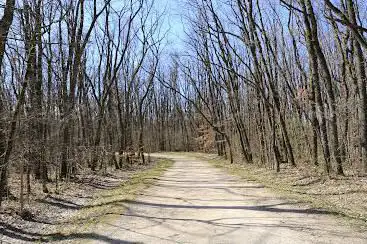 Réserve naturelle du Nant de Borbaz et des Picolattes