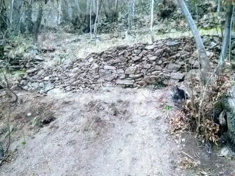 Vigne alla Bertolda