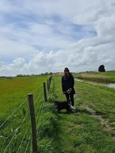 De Tuinen van Stene