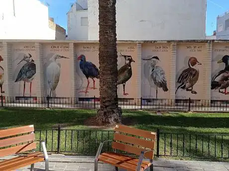 Photo de Plaça de la Llotgeta
