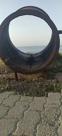 Opera l'urlo della Terra