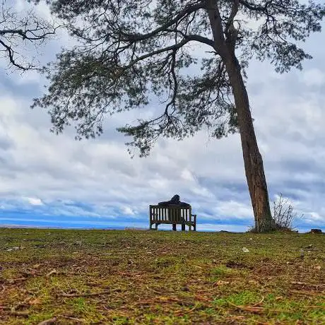 Photo de The Hill Viewpoint