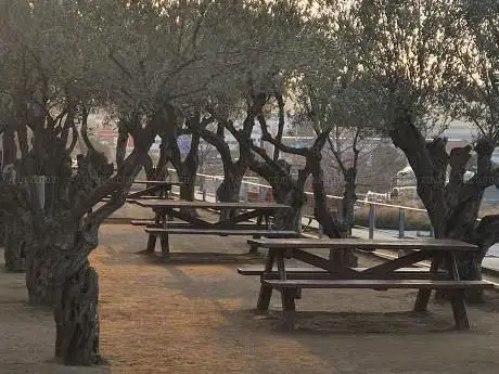 Zona.de pícnic Parc de Can Gambús