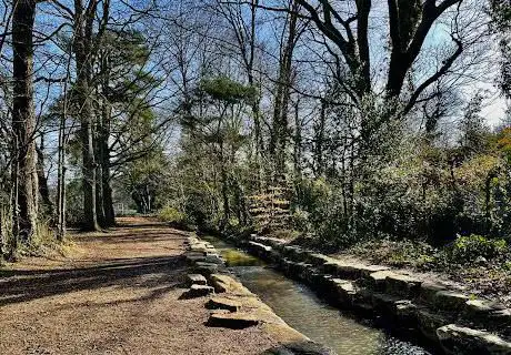 Stream Splash