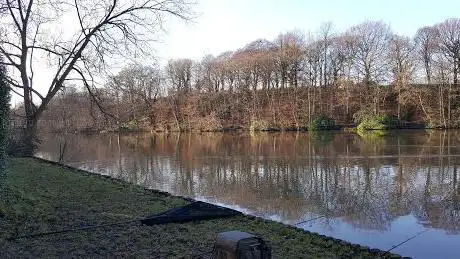 Photo de Ringwood Lake
