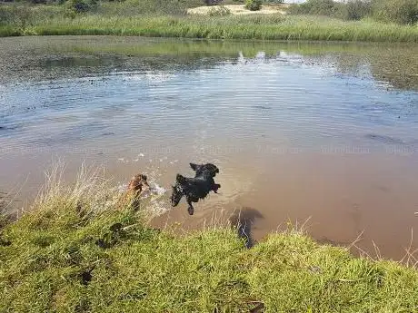 Photo de Mineries Pool