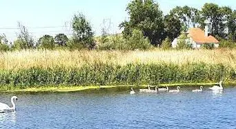 Photo de The PAARC Rives de l'Aa