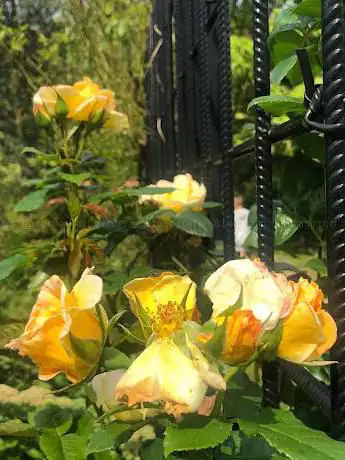 Ecotooptuin park van Mechelen