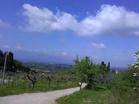 Photo de Alla base della Torre di Galatrona