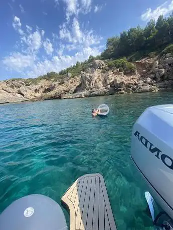 Reef Cruise