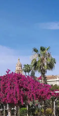 Photo de Chino Garden