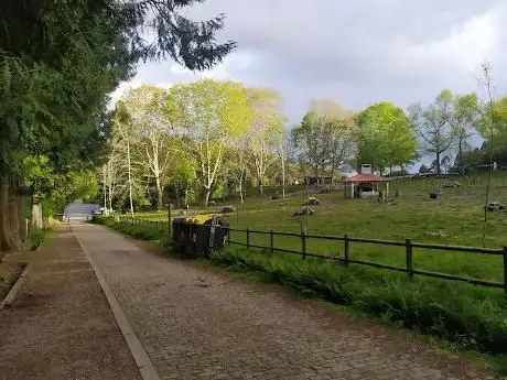Lago Castiñeiras