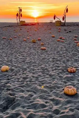 Photo de Un mare di zucche