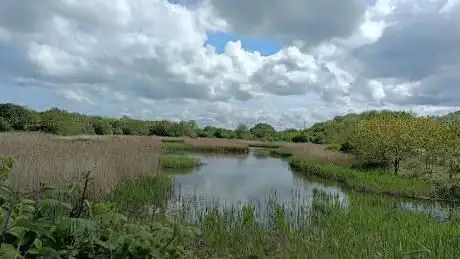 Photo de Port Sunlight River Park