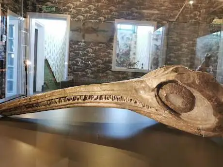 Photo de Yorkshire Natural History Museum