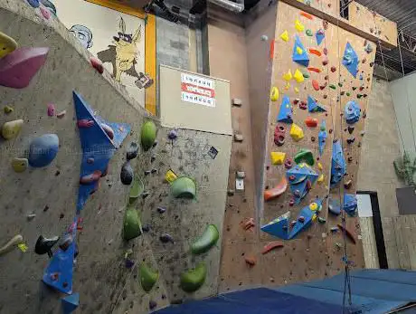 Coyote Rock Gym